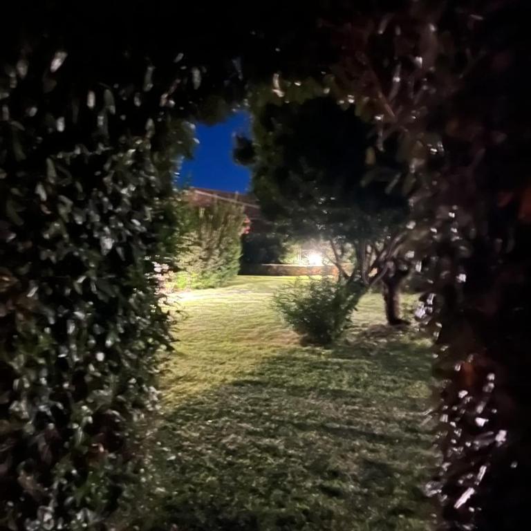 San Teodoro Beach Villa 86b - Villa con 2 Camere da Letto - 29