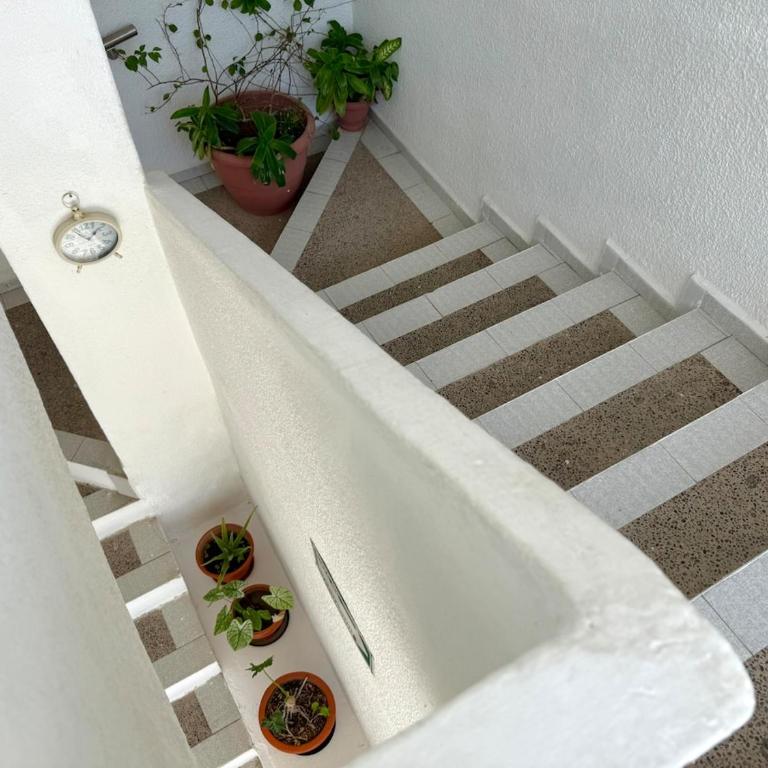Loft a pocas cuadras de la playa y Zona Dorada - One-Bedroom Apartment - 8