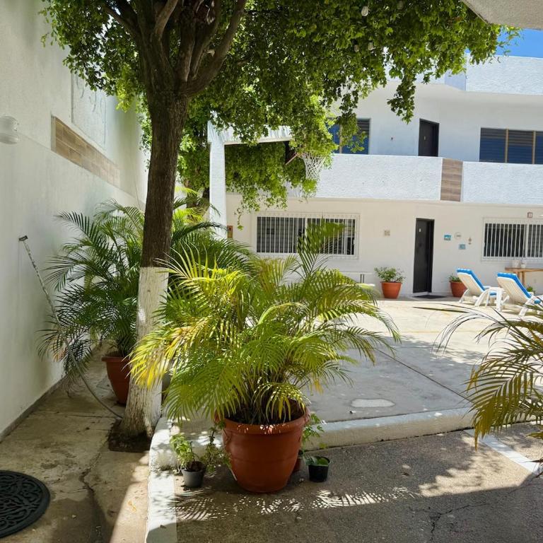 Loft cerca de la playa y el malecón - One-Bedroom Apartment - 30