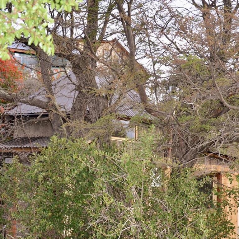 Cabin Arroyo el Bosque, Villa Cerro Castillo, Aysen - Two-Bedroom House - 18