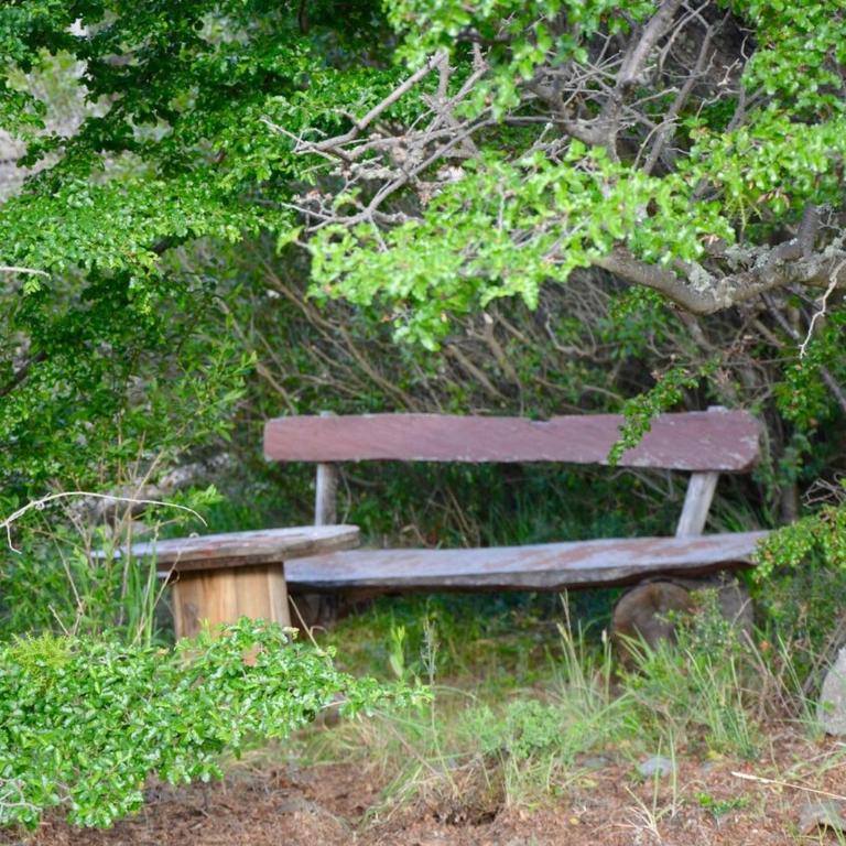 Cabin Arroyo el Bosque, Villa Cerro Castillo, Aysen - Two-Bedroom House - 20