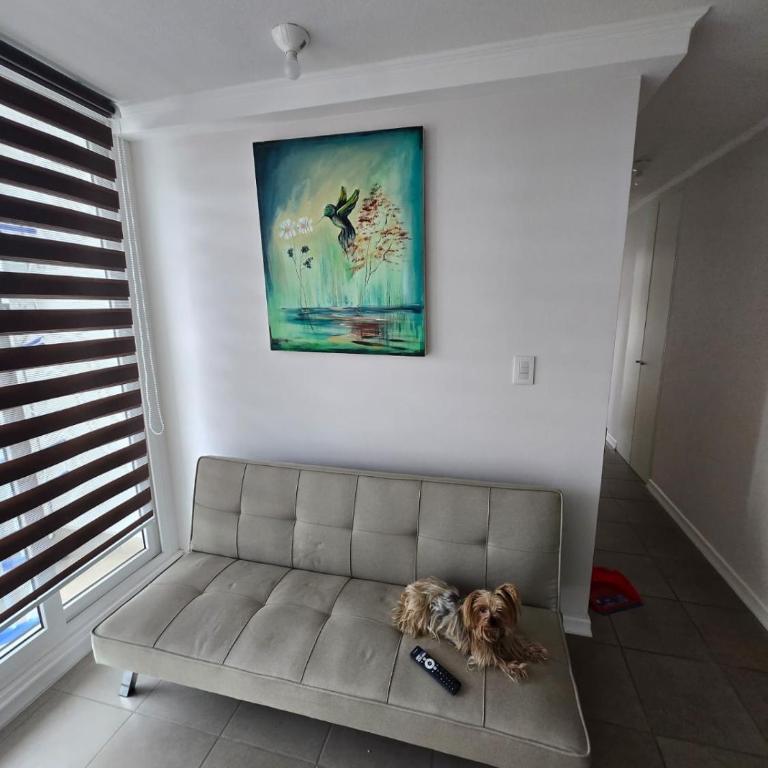 Departamento nuevo, a pasos del faro , mall, rica gastronomía - Three-Bedroom Apartment - 1