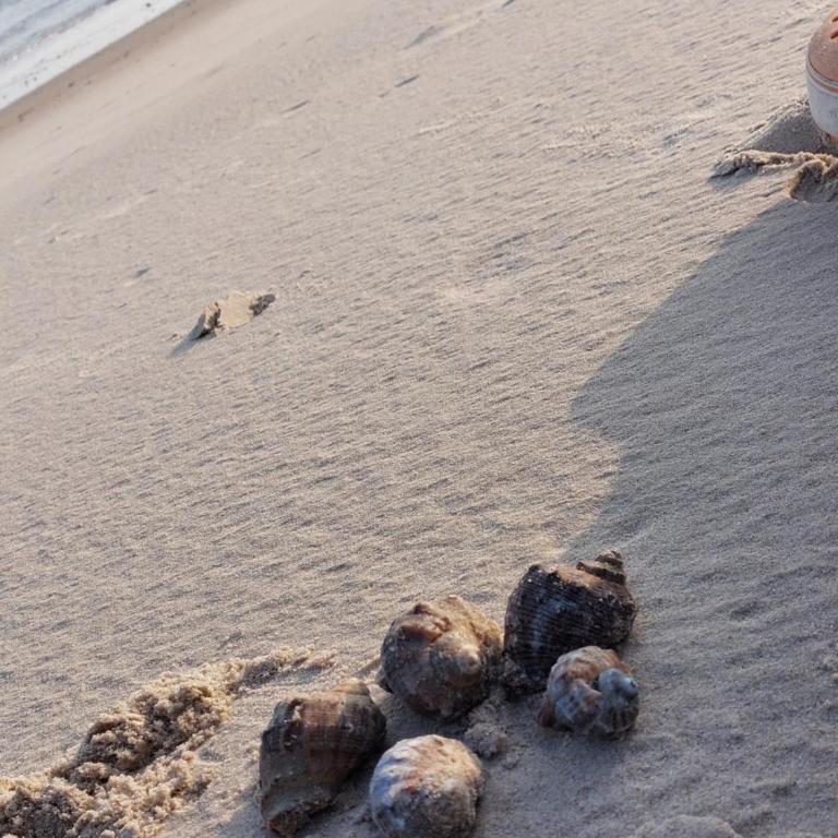 Costa azul , - Casa de 2 dormitorios - 2