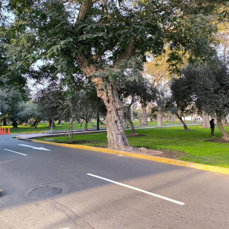 Beautiful apartment with balcony in San Isidro - Apartamento de 2 dormitorios - 8