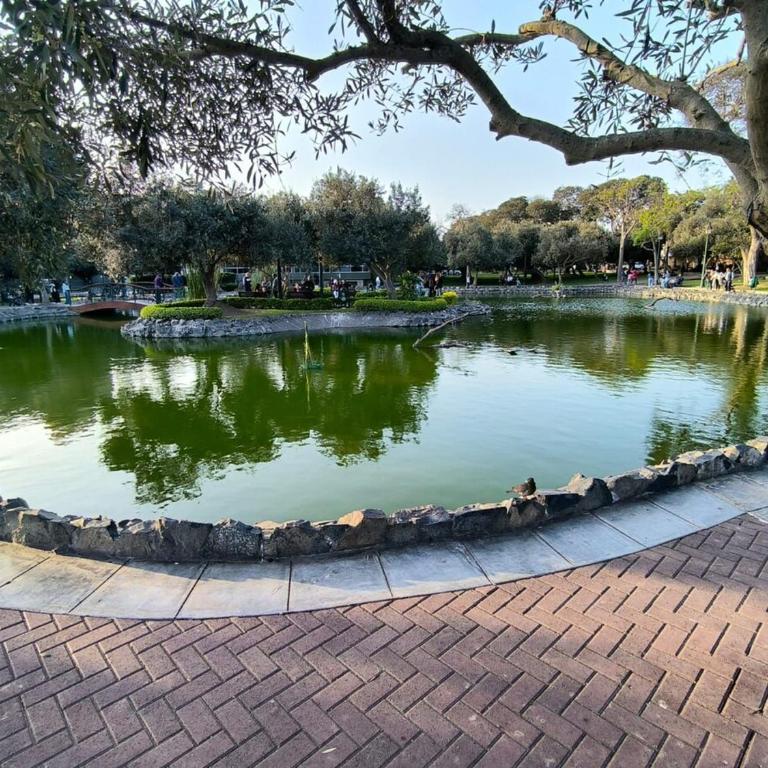 Beautiful apartment with balcony in San Isidro - Apartamento de 2 dormitorios - 24