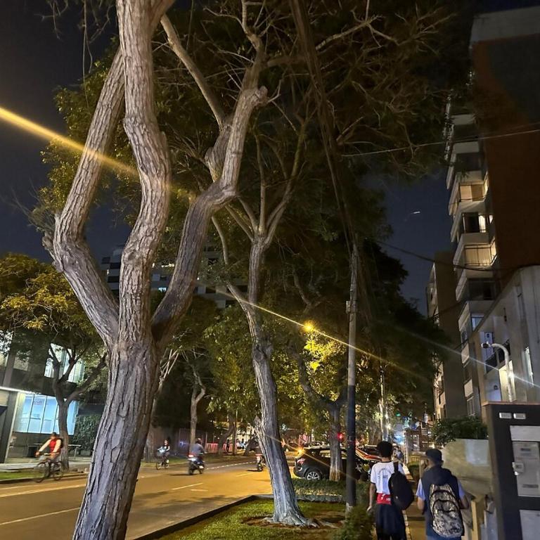 Beautiful apartment with balcony in San Isidro - Apartamento de 2 dormitorios - 37