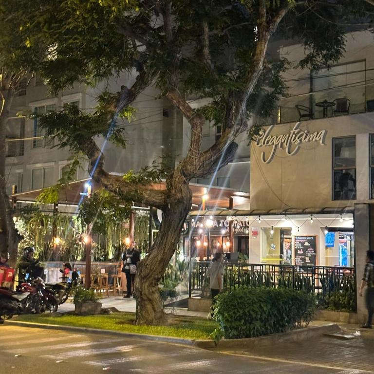 Beautiful apartment with balcony in San Isidro - Apartamento de 2 dormitorios - 41