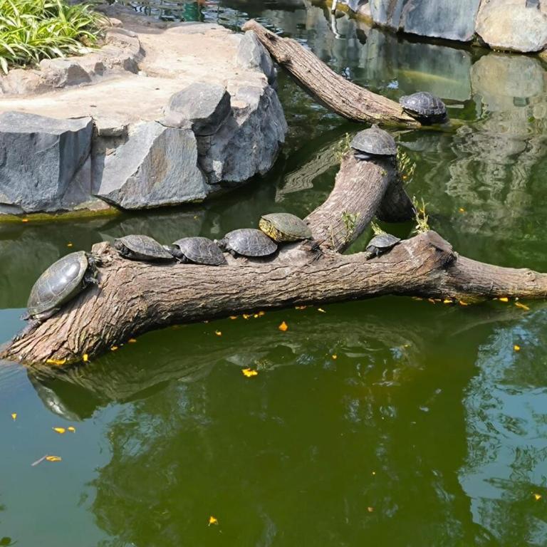 Beautiful apartment with balcony in San Isidro - Apartamento de 2 dormitorios - 54