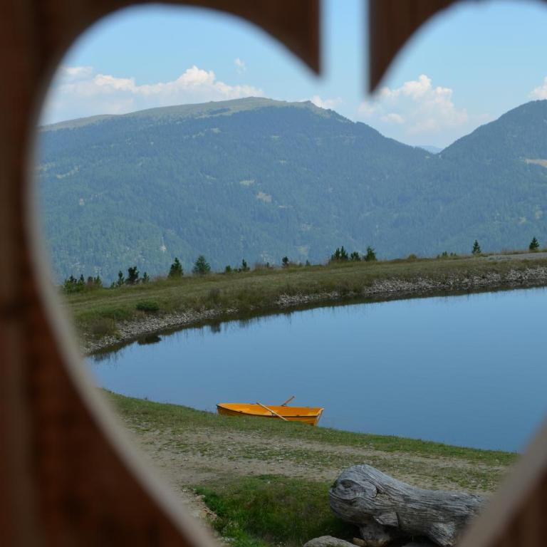 Riegleralm - Ferienhaus - 5