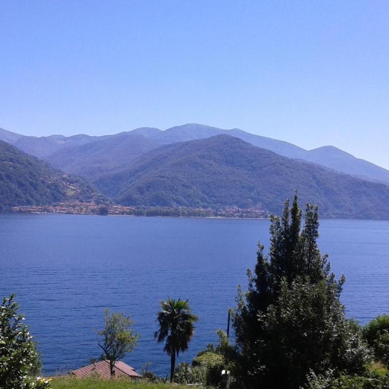 Vanni's House - Appartamento - 36