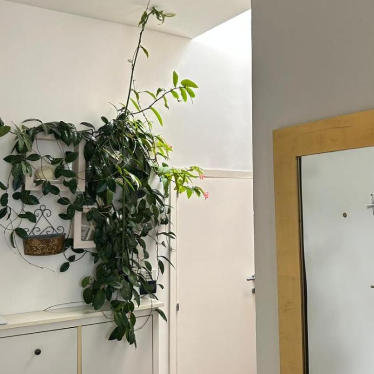 Appartamento Bruschi 24 - Appartamento con 1 Camera da Letto - 5