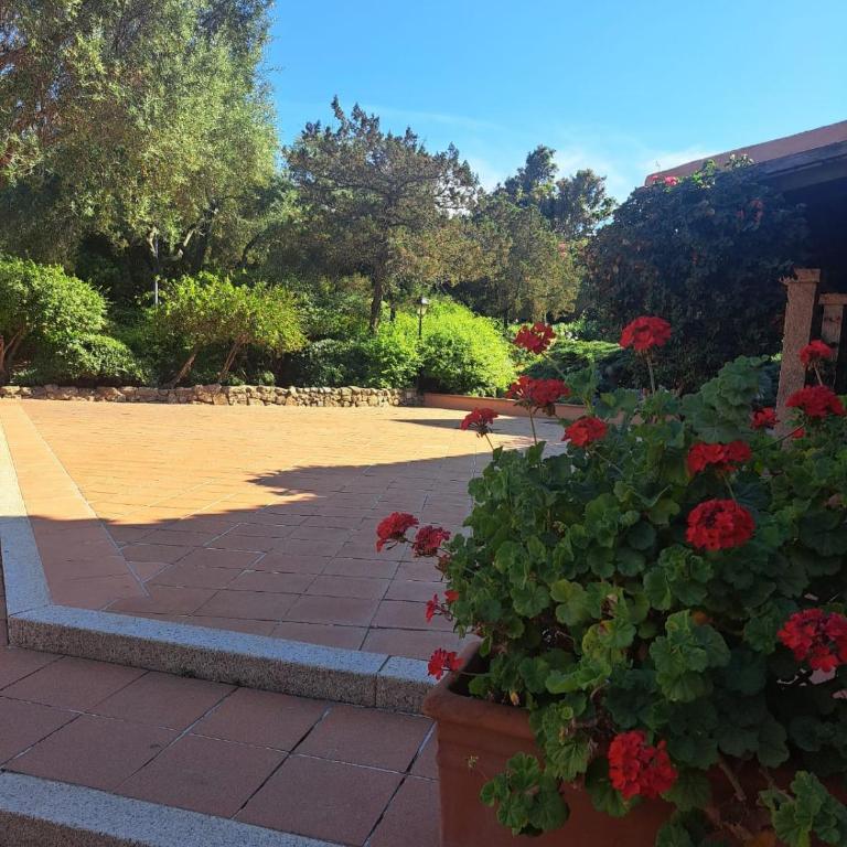 Appartamenti Bouganville - Monolocale Standard - 9