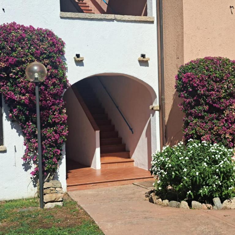 Appartamenti Bouganville - Monolocale Standard - 12