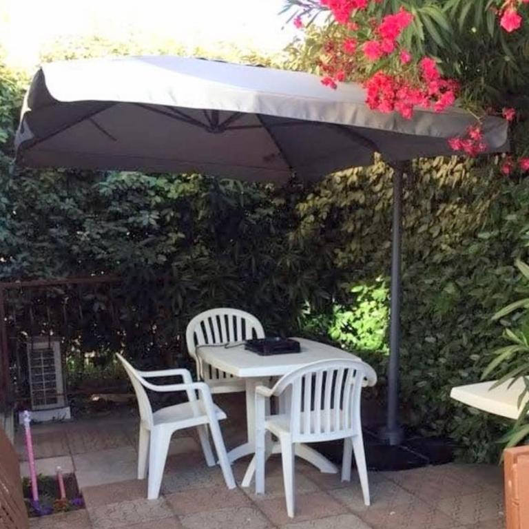 Apartment of 36 m2 with terrace - Apartment - 20