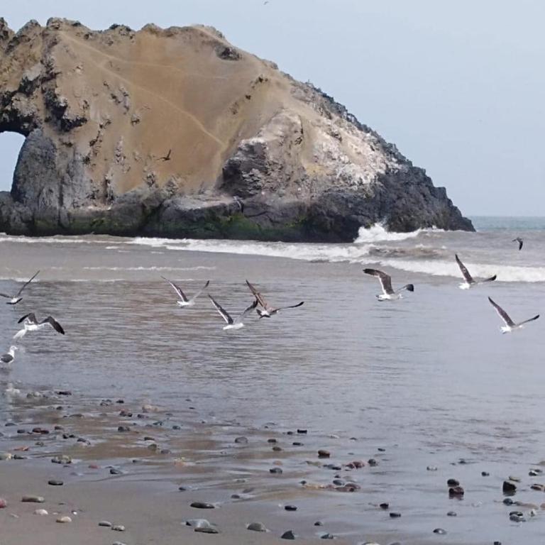 Oceanfront Country House - Heated Pool - Birdwatching - Casa de 6 dormitorios - 16