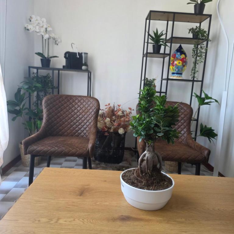quattro olive- via della Meridiana 68 residence Holiday - One-Bedroom Apartment - 41
