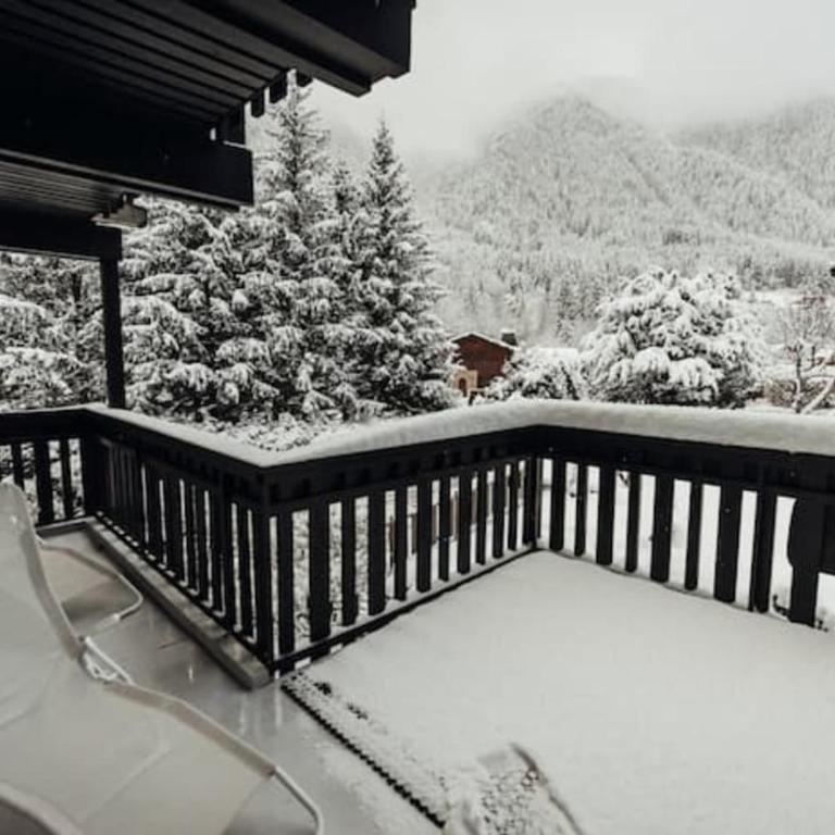 Beautiful T2 with balcony near track - Apartment - 12