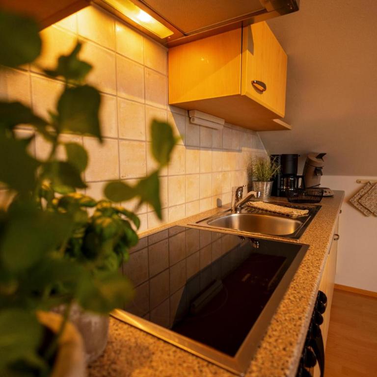 Ferienhof Sinz im Allgäu - Apartment mit 2 Schlafzimmern und Balkon - 4