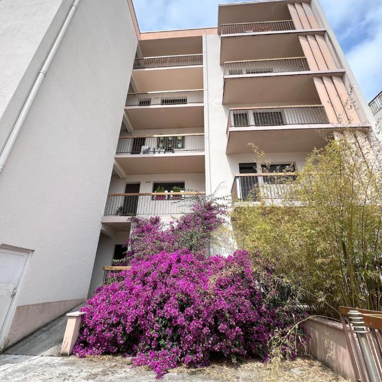 Appartement du port d'Arcachon - Apartment mit 1 Schlafzimmer - 12
