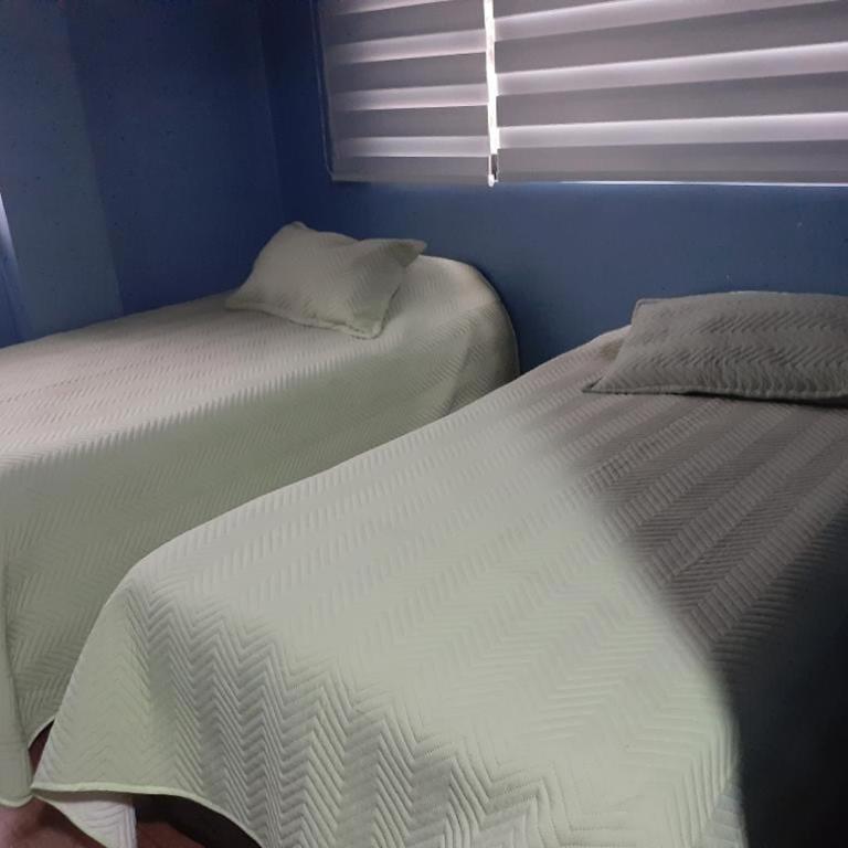 Luxury House - Four-Bedroom House - 19