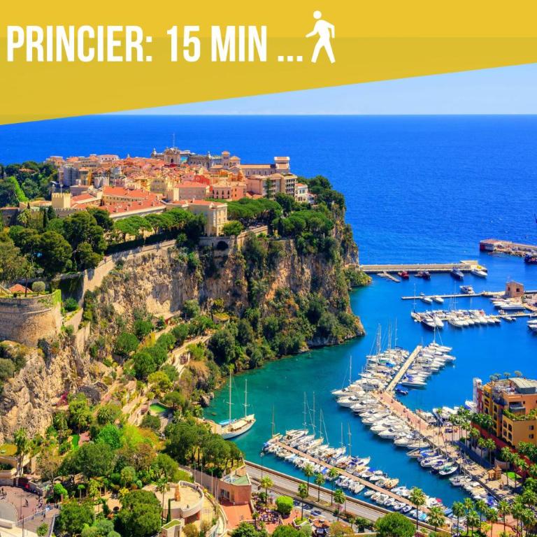 Cozy studio with terrace, Monaco and beach 5 min away - Appartement 2 Chambres - 26