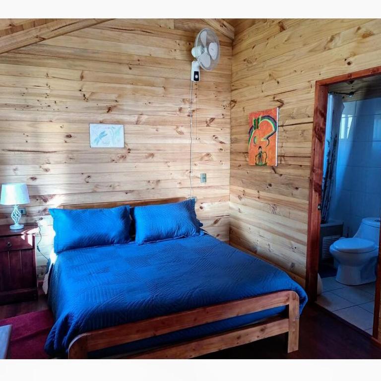 Cabaña caburgua un ambiente - One-Bedroom Apartment - 9