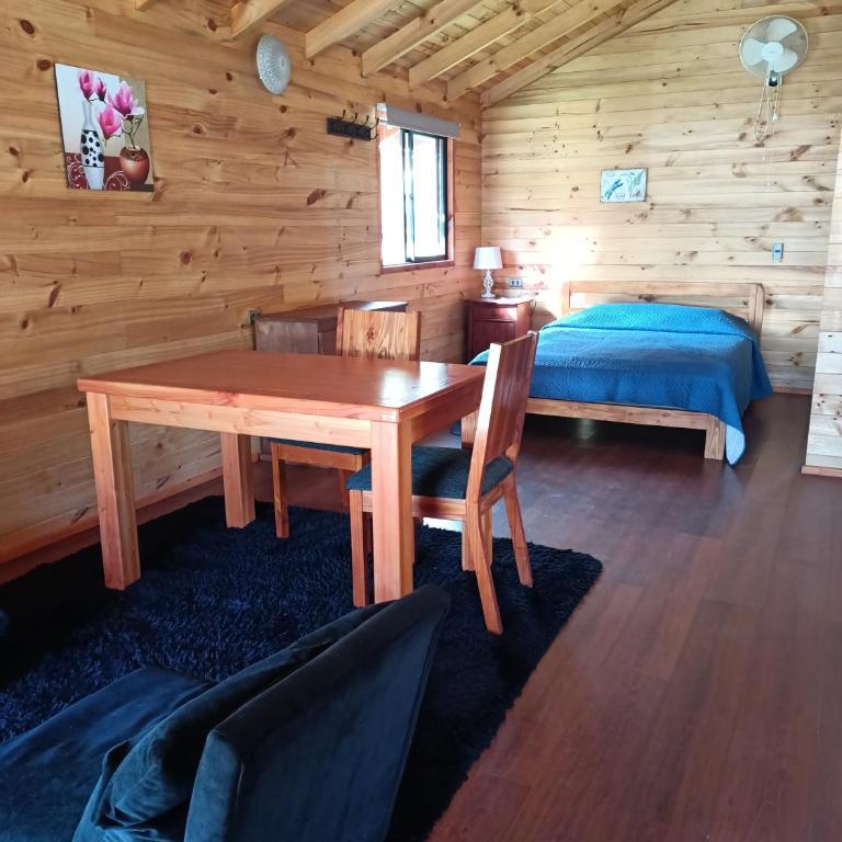 Cabaña caburgua un ambiente - One-Bedroom Apartment - 6