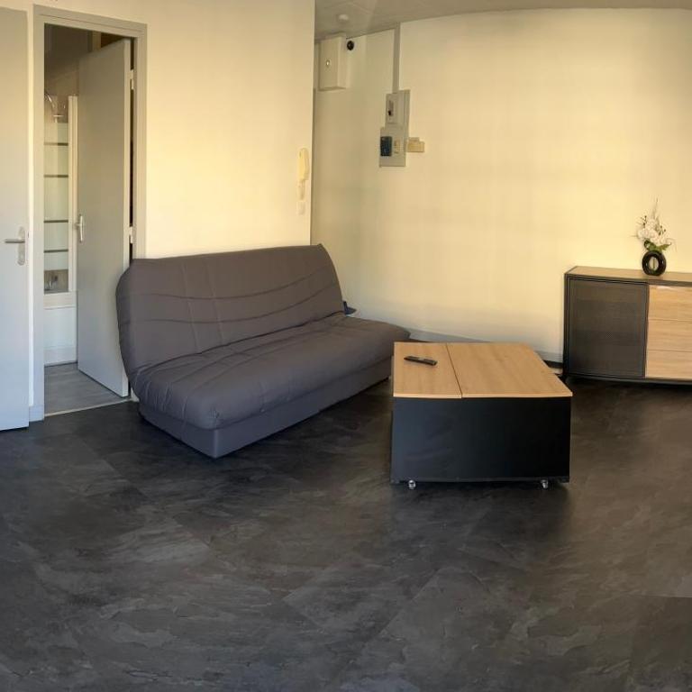 Au calme Proche centre ville, jardin et commodités - Appartement 1 Chambre - 3
