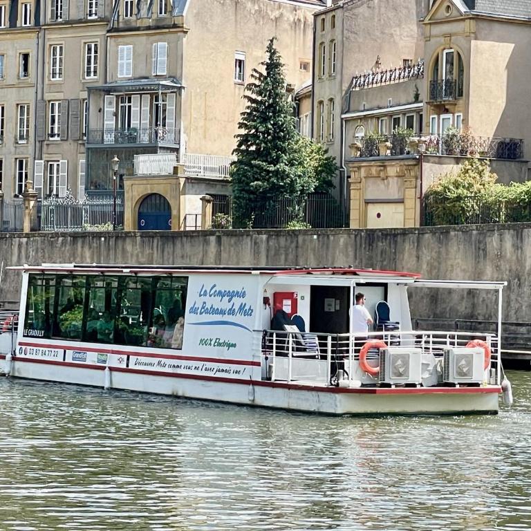 Les Gîtes de l'ile à Metz - Appartamento con 1 Camera da Letto - 15