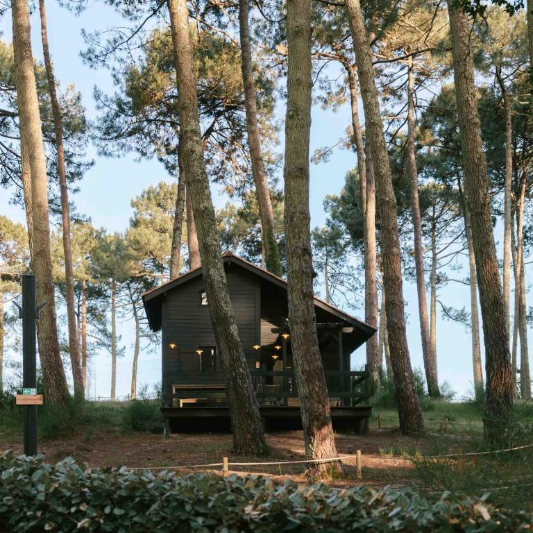 Slow Village Biscarrosse Lac - Cabane Signature - 2 Chambres - Côté Pinède - 6