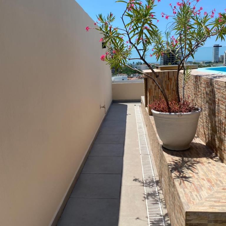 Condominios Serena - Apartment - 14