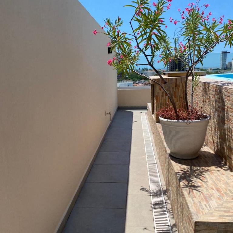 Condominios Serena - Apartment - 22