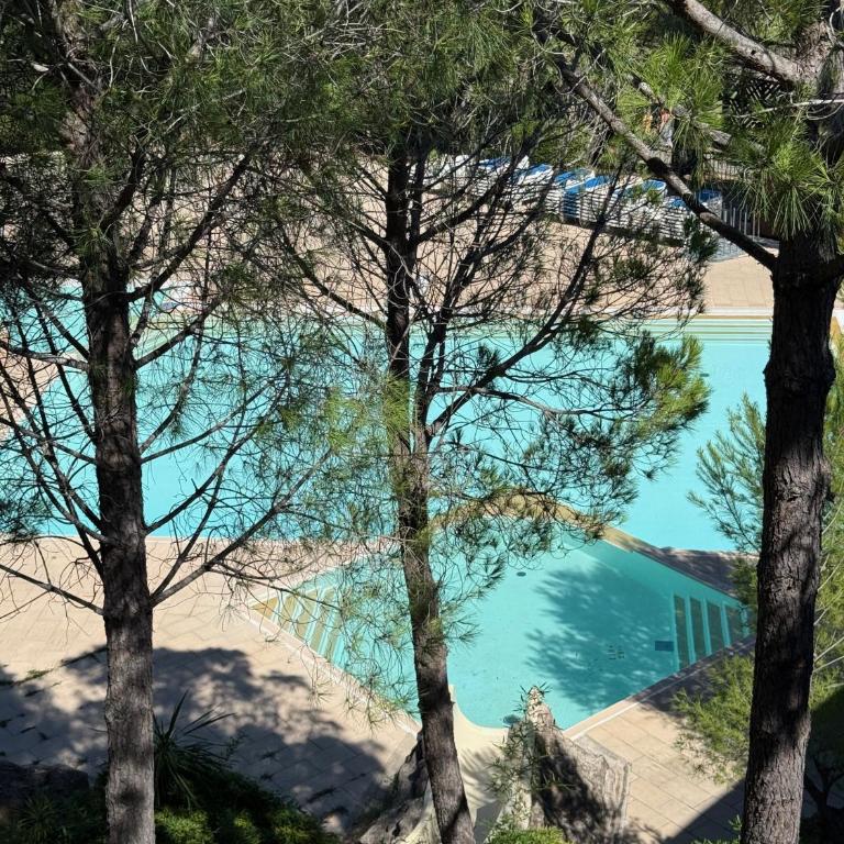 Paradise Azur - Appartement 2 Chambres - 11