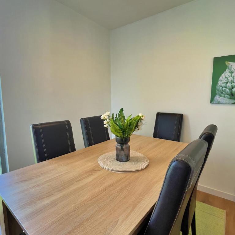 Urban Nest Apartment Sarajevo - Apartman sa 2 Spavaće Sobe - 21