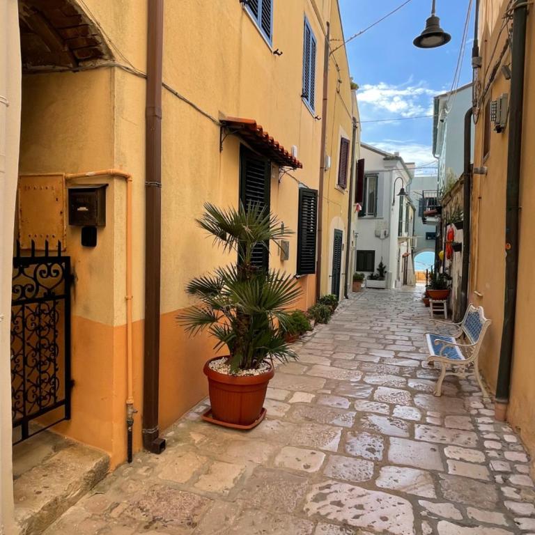 Dimora Lucia termoli - Appartamento con 1 Camera da Letto - 22