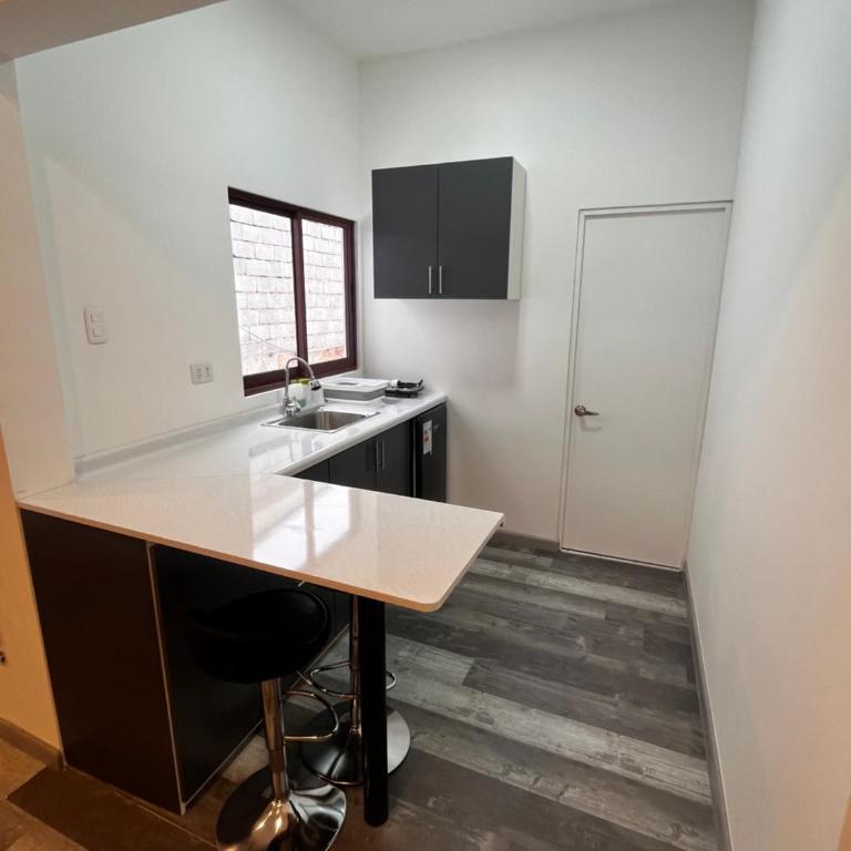 Apart-Estudios "Azotea Altamira" - Superior Apartment - 3