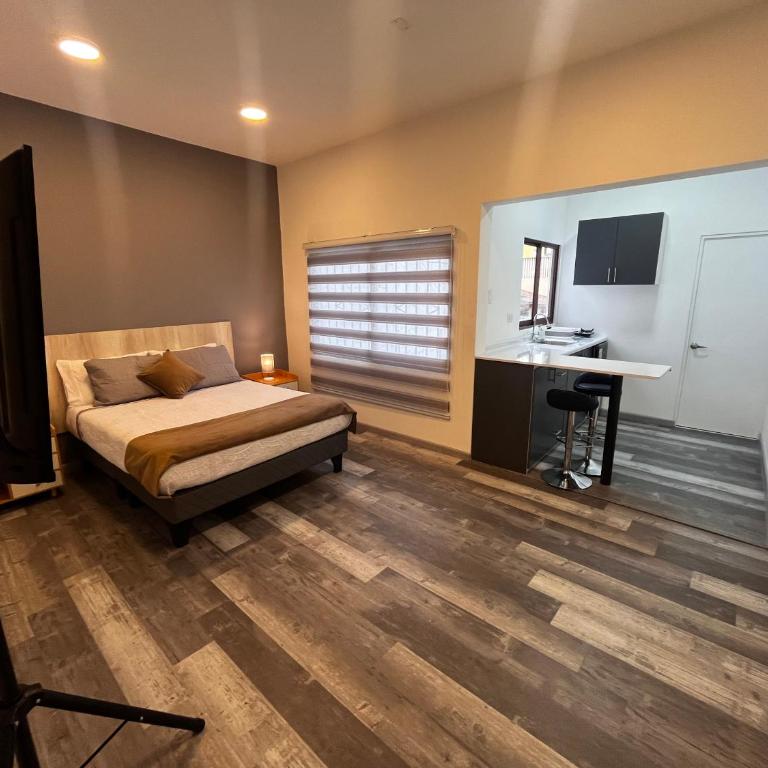 Apart-Estudios "Azotea Altamira" - Superior Apartment - 4