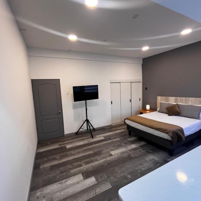 Apart-Estudios "Azotea Altamira" - Superior Apartment - 6