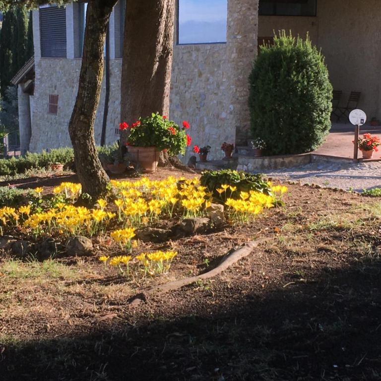 Podere Le Grotte - Two-Bedroom Apartment - 56