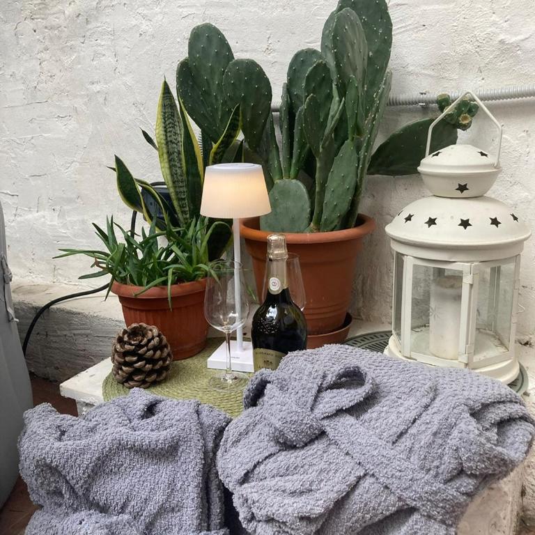 Il Giardino Nascosto - Appartamento con 2 Camere da Letto - 10