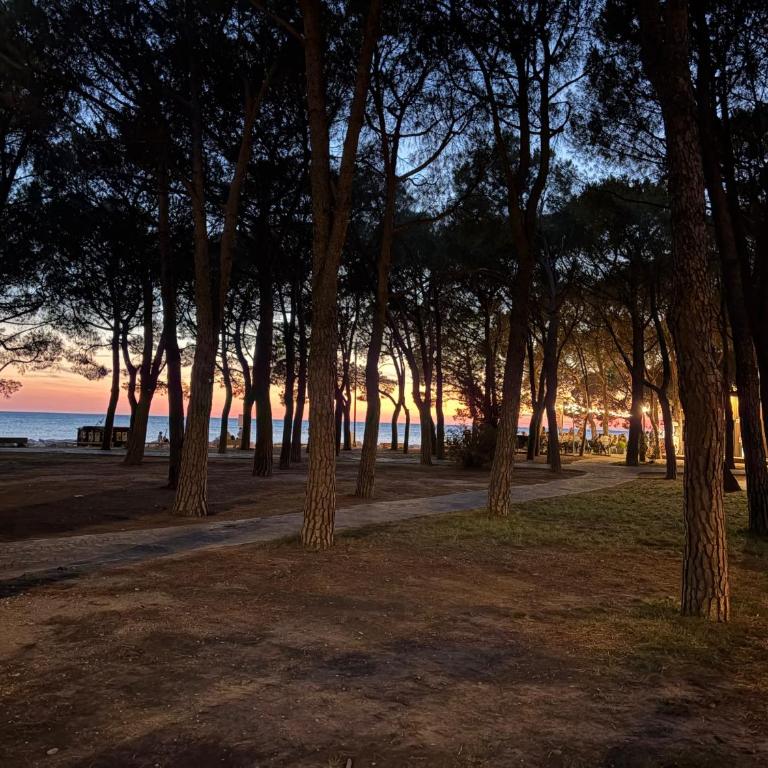 Il Giardino Nascosto - Appartamento con 2 Camere da Letto - 54