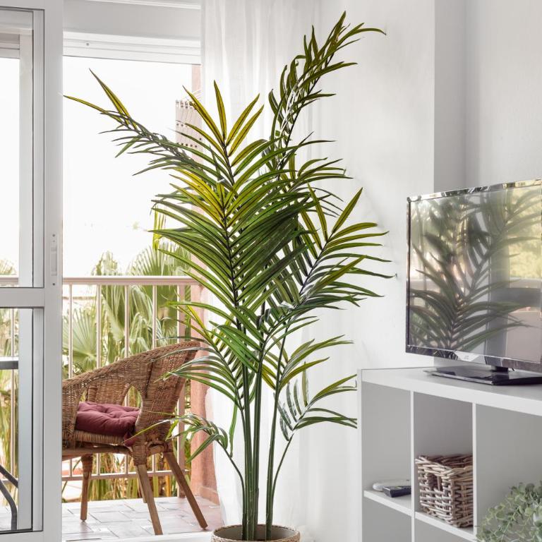 Sunstay Jupiter Flat I Benalmadena - Estudio - 10
