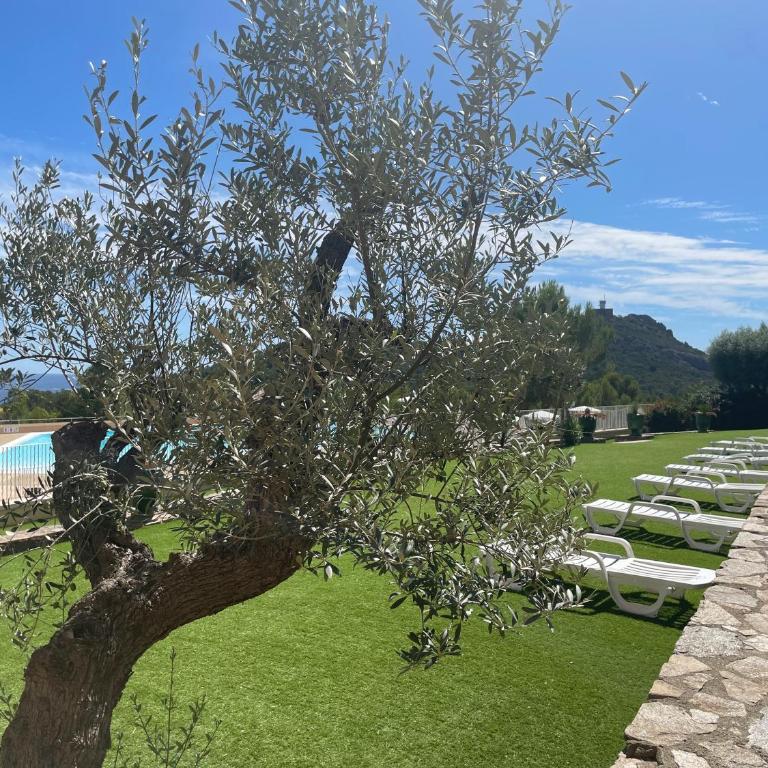 Paradise Azur - Appartement 2 Chambres - 33