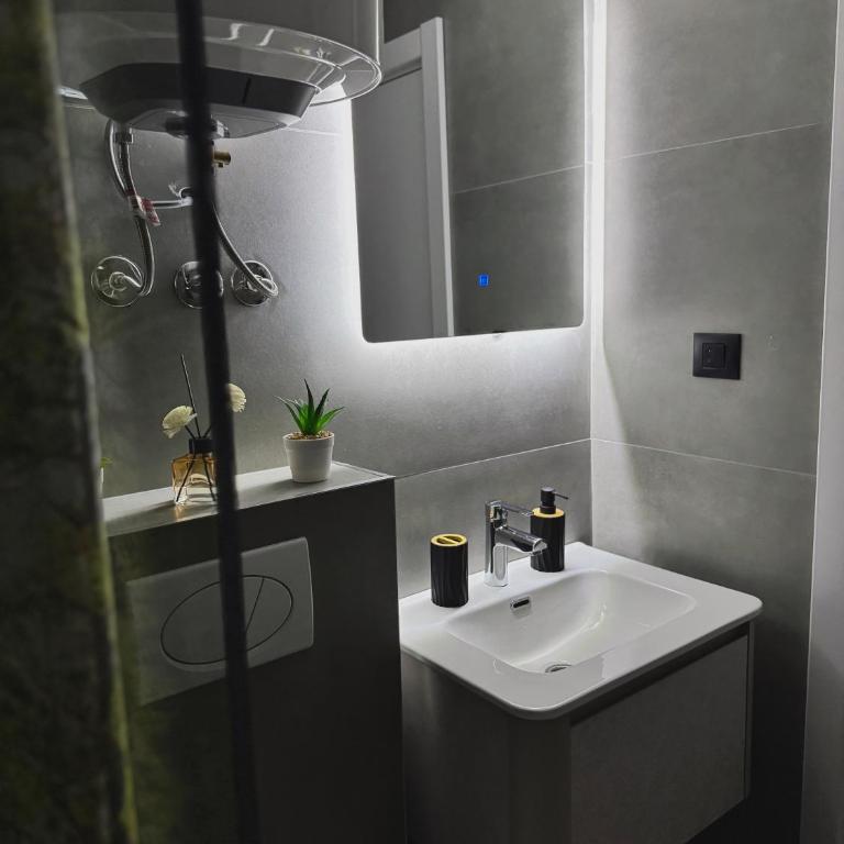 Evergreen Lux - One-Bedroom Apartment - 21