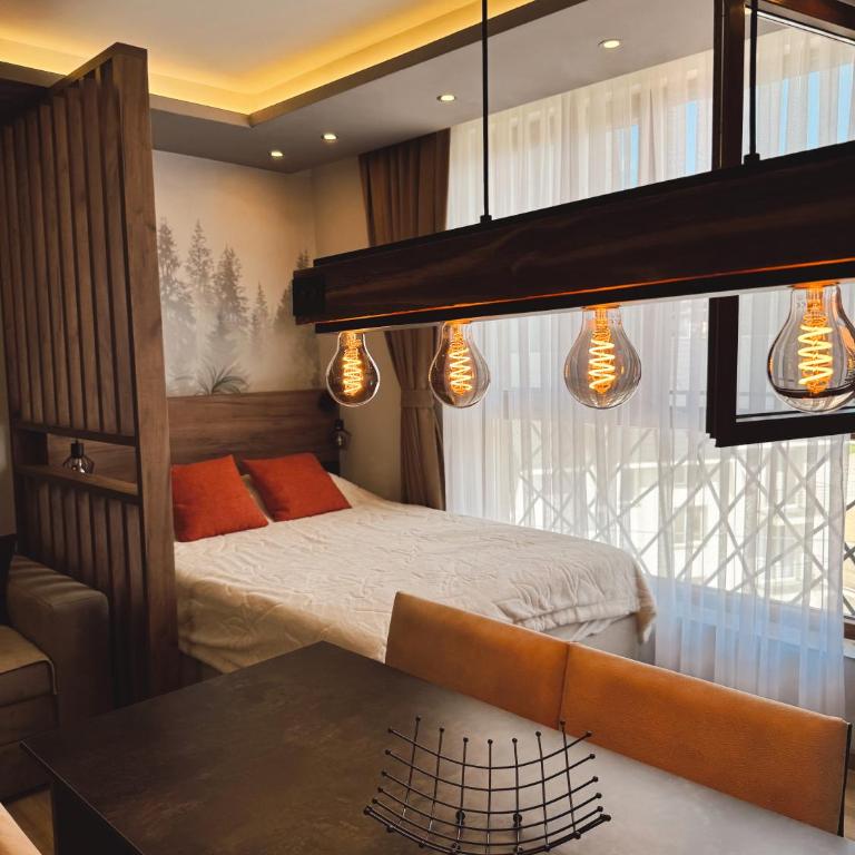 Evergreen Lux - One-Bedroom Apartment - 2