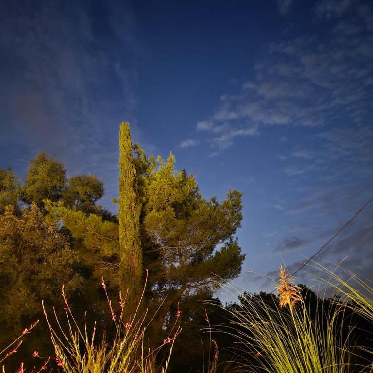 Trulli Chiancaluna - Art Farm Stories - Villa Deluxe - 56