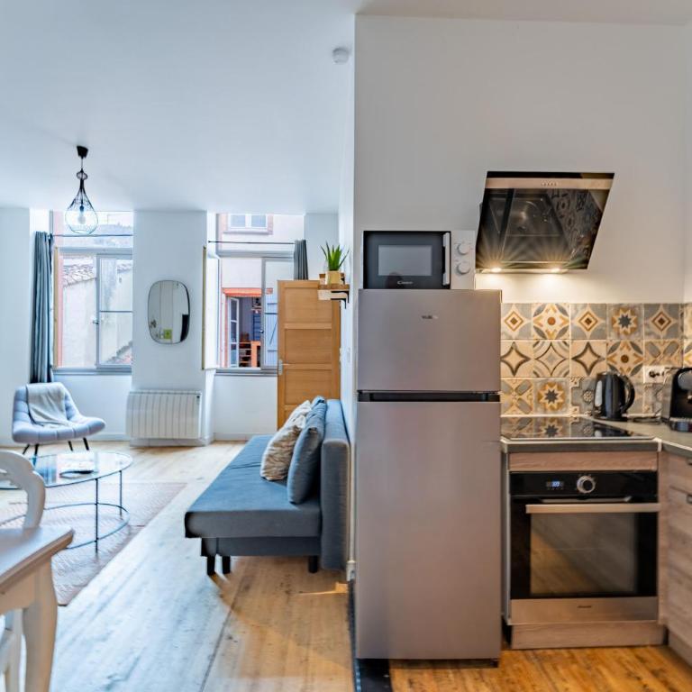 Le beau Malcousinat place Nationale wifi haut débit - Appartement 1 Chambre - 3