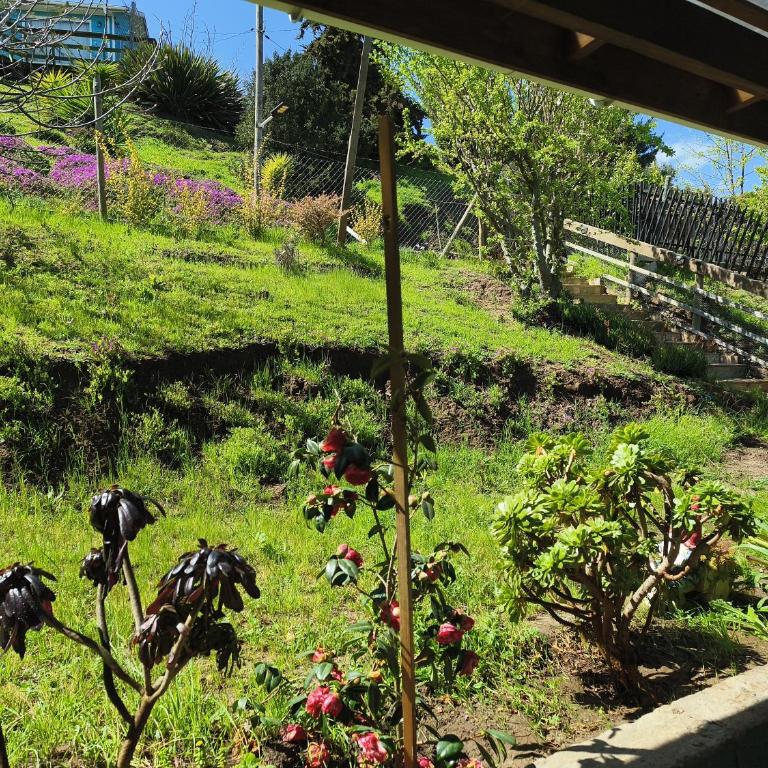 Yali paraiso - Three-Bedroom House - 27