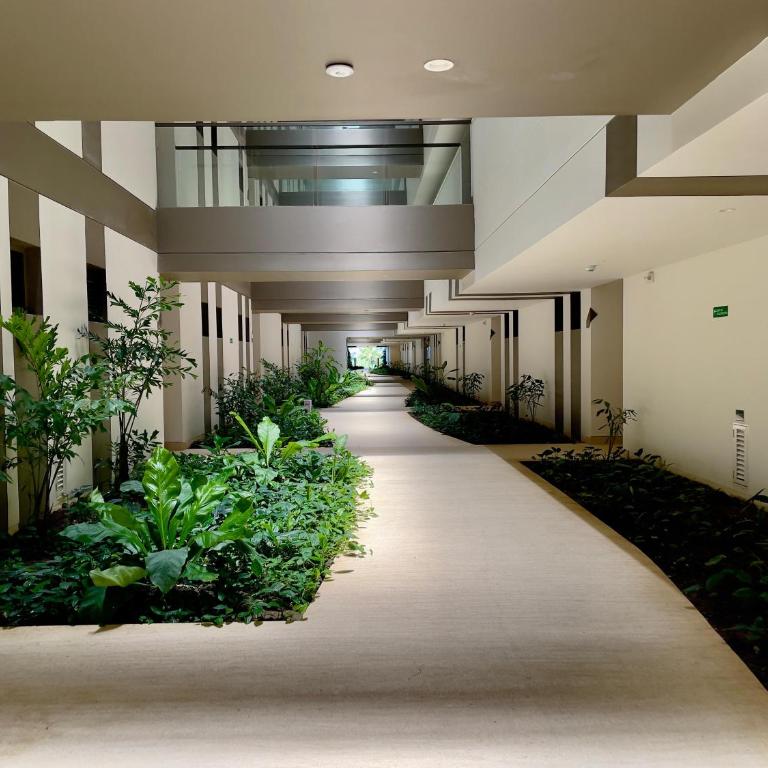 Manzanillo Edificio Morro Zoe Piso 4 - One-Bedroom Apartment - 55