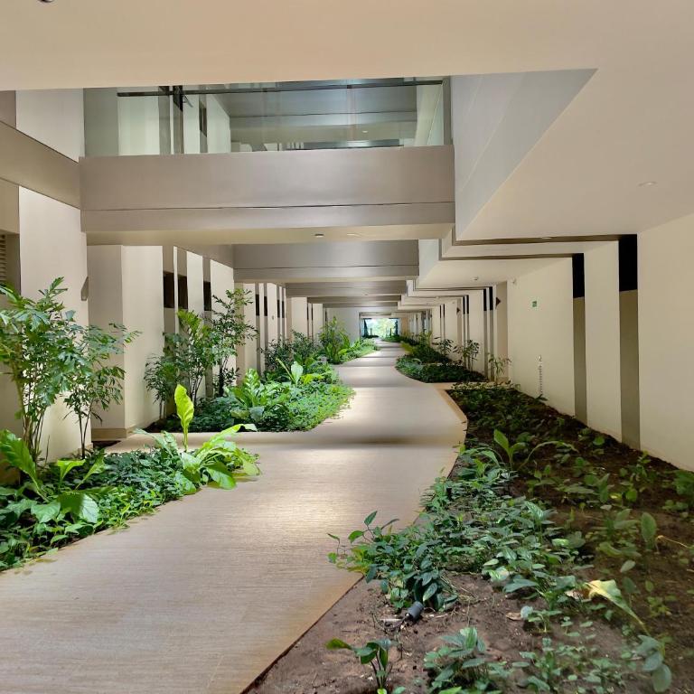 apartment with exit to the sea and mangrove - One-Bedroom Apartment - 56